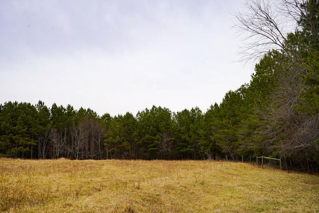 4031 Marion Rd, Home with 0 bedrooms, 0 bathrooms and null parking in Chatham VA | Image 27