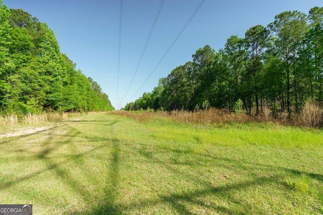 6053 Sun Hill Grange Rd, Home with 0 bedrooms, 0 bathrooms and null parking in Davisboro GA | Image 35