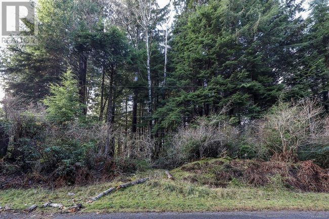 665 1 St St, Home with 0 bedrooms, 0 bathrooms and null parking in Sointula BC | Image 30
