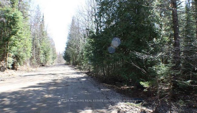 0 Contau Lake Rd, Home with 0 bedrooms, 0 bathrooms and null parking in Gooderham ON | Image 8