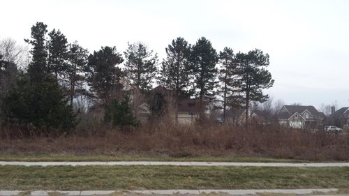 lot-65-2467 Ulrich Ln, Stevensville, MI, 49127-9230 | Card Image