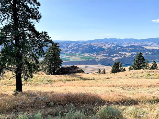100 Pine Bluffs Ln, Home with 0 bedrooms, 0 bathrooms and null parking in Waterville WA | Image 29