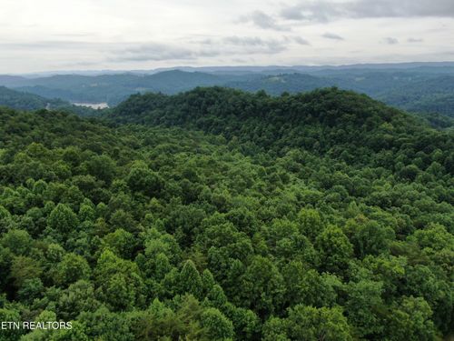 171 Bluff View Rd, New Tazewell, TN, 37825-6315 | Card Image