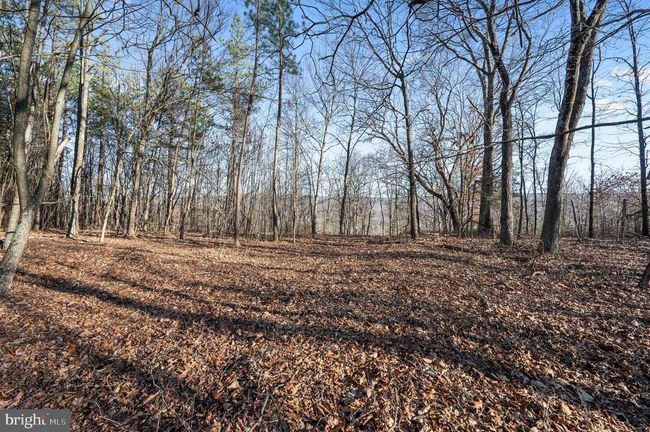 LOT 4 Back Creek Rd, Home with 0 bedrooms, 0 bathrooms and null parking in GORE VA | Image 8