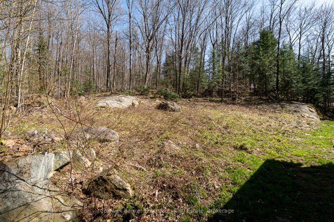 751 Old Muskoka Rd, House other with 3 bedrooms, 1 bathrooms and 4 parking in Utterson ON | Image 30