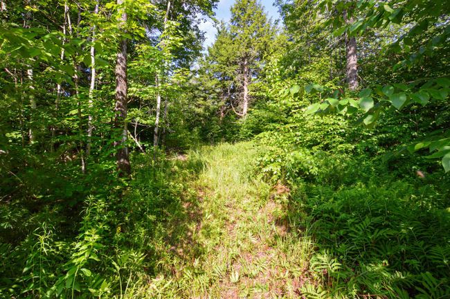 LOT-3 - 00 Vt Route 103 N, Home with 0 bedrooms, 0 bathrooms and null parking in Chester VT | Image 10