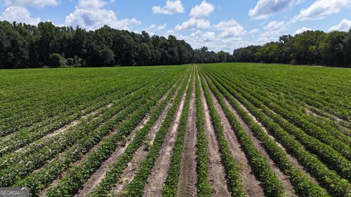 0 S Macon St, Reynolds, GA, 31076 | Card Image