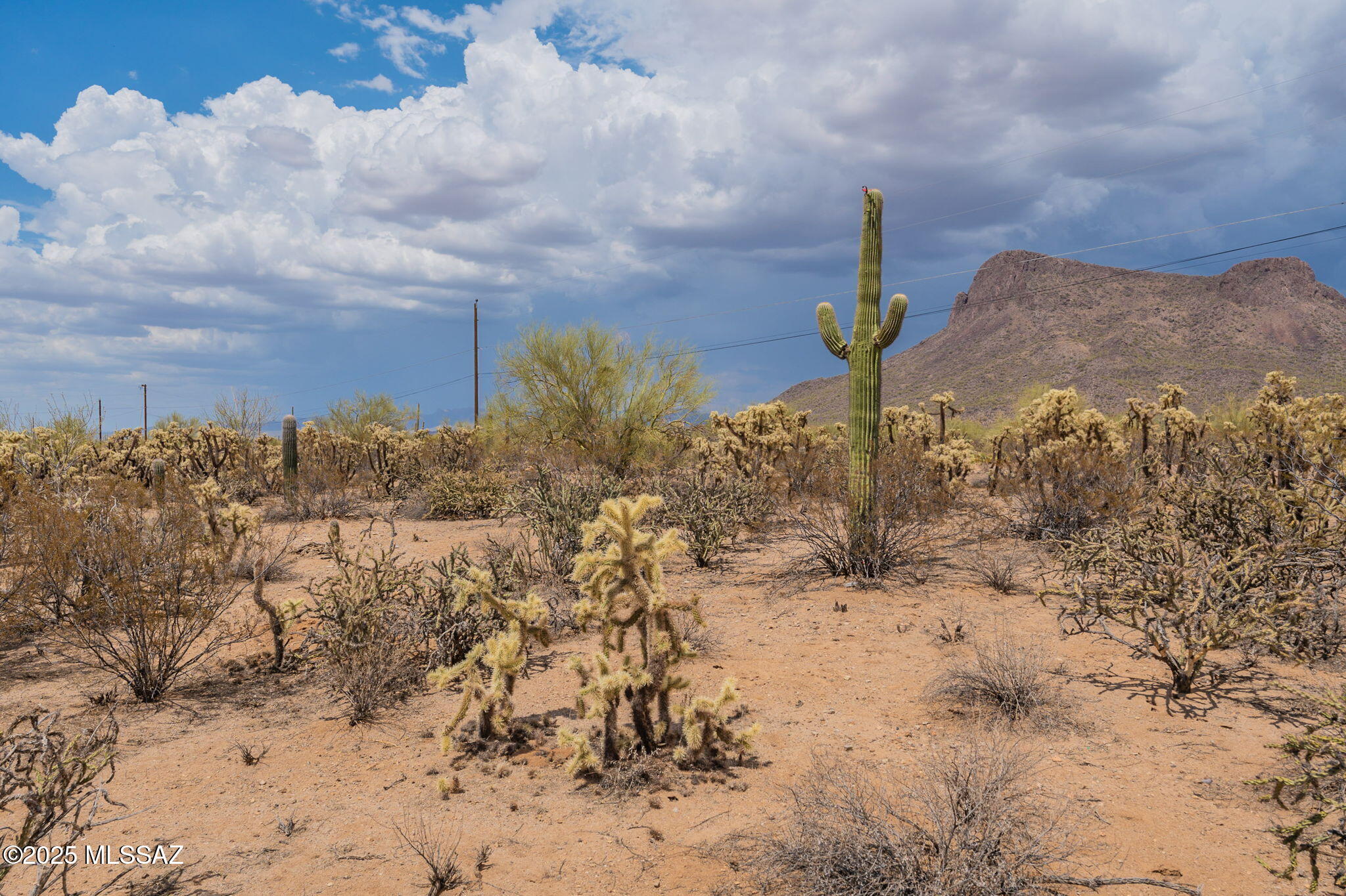 Land in Tucson 4