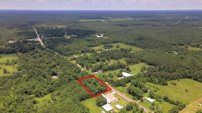 00 Fm 770 Rd, Home with 0 bedrooms, 0 bathrooms and null parking in Batson TX | Image 10