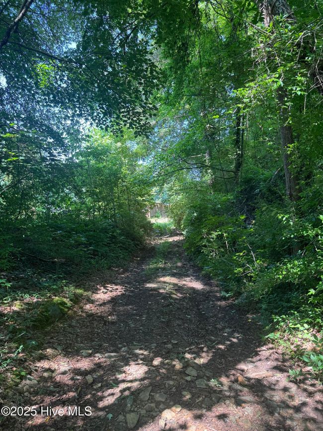 00 Nc Highway 902, Home with 0 bedrooms, 0 bathrooms and null parking in Pittsboro NC | Image 5