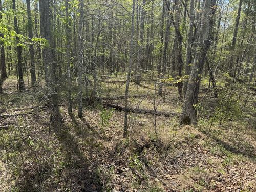 0 Lewis Rd, Chapmansboro, TN, 37035 | Card Image