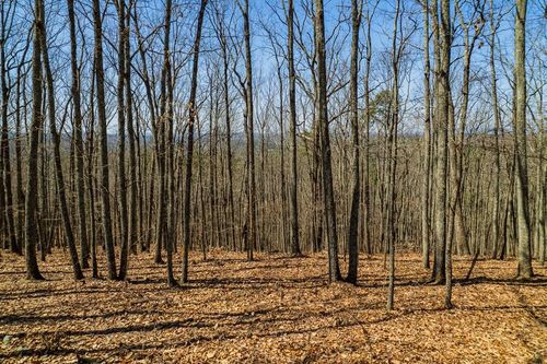 Lot 35 Heatherwood Way, Talking Rock, GA, 30175 | Card Image