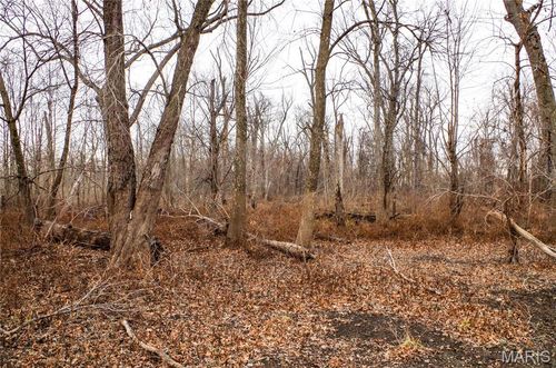 0 Pike 202, Annada, MO, 63330 | Card Image