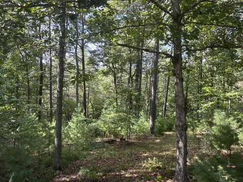 Lt 63 Harmony Way, Morganton, GA, 30560 | Card Image