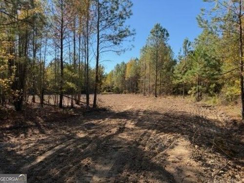 0 Netherland Rd, Midville, GA, 30441 | Card Image