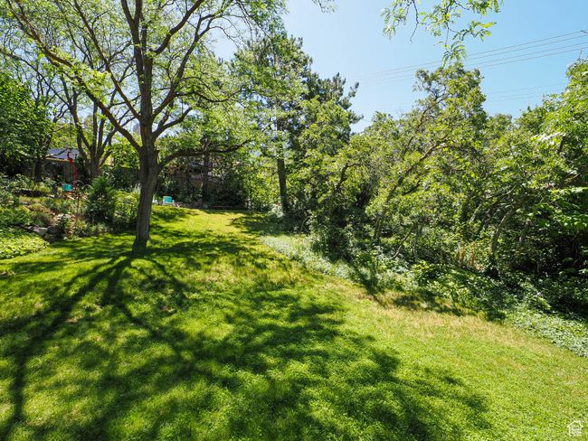 View of grassy yard | Image 66