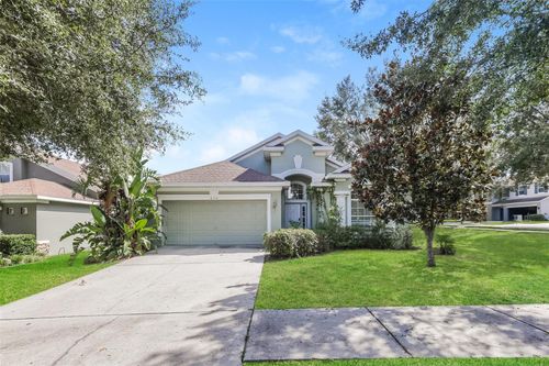 650 Chesney Dr, VALRICO, FL, 33594-6786 | Card Image
