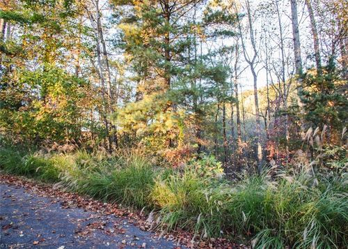 TBD Lot 17 Chestnut Falls Dr, Millers Creek, NC, 28651 | Card Image