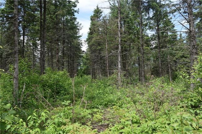N9197 Fedyn Rd, House other with 4 bedrooms, 3 bathrooms and null parking in LADYSMITH WI | Image 35