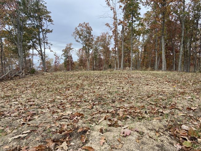 0 Mc Cord Hollow Rd, Home with 0 bedrooms, 0 bathrooms and null parking in Hohenwald TN | Image 22