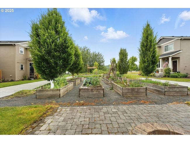 Community Garden | Image 18