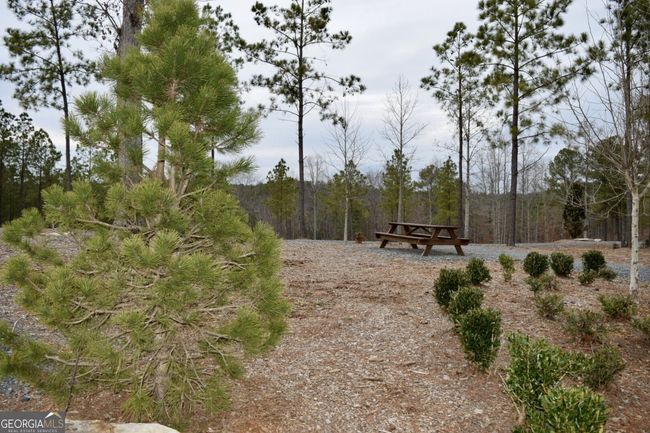 LOT 28 High Summit Dr, Home with 0 bedrooms, 0 bathrooms and null parking in Talking Rock GA | Image 27