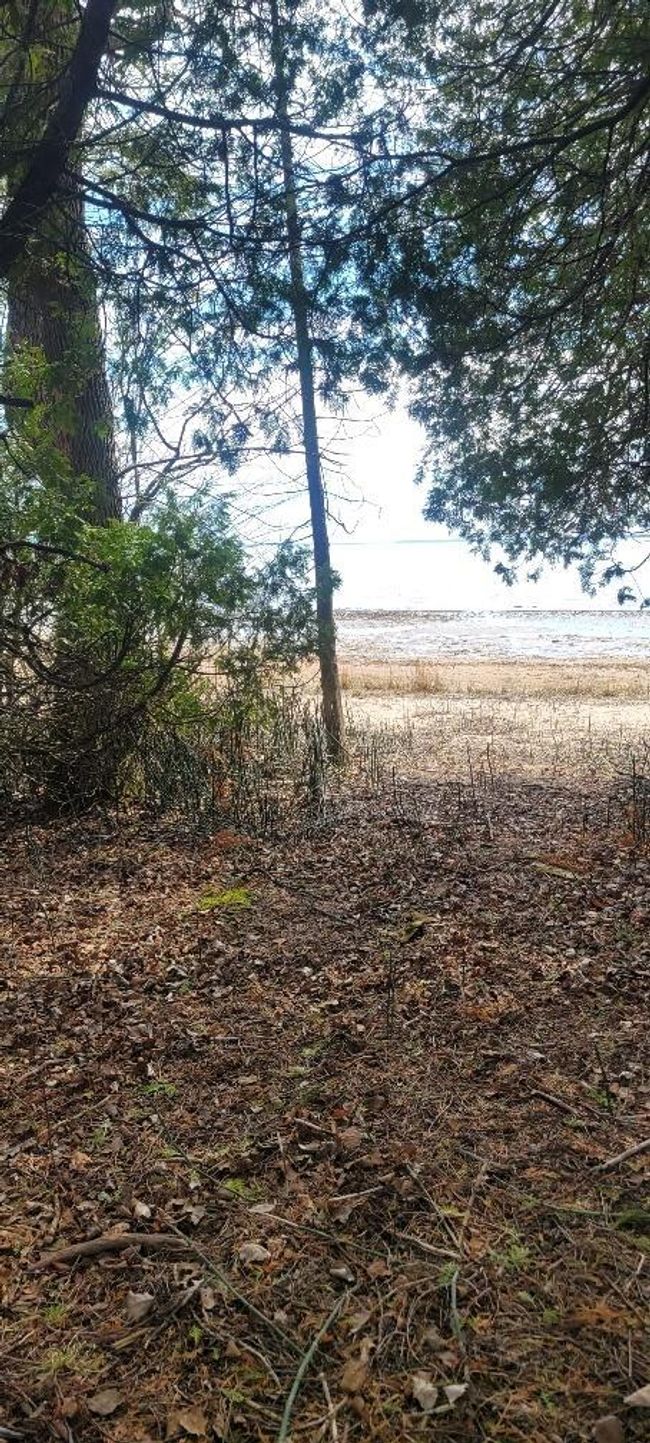 Lt0 E State Highway M35, Home with 0 bedrooms, 0 bathrooms and null parking in INGALLSTON MI | Image 12