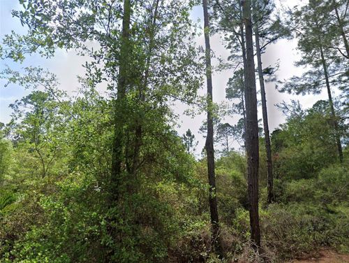 126 & 128 Grandale Street, Georgetown, FL, 32139 | Card Image