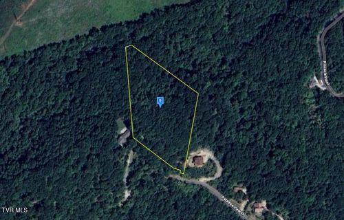 9098 Paradise View Dr, Mooresburg, TN, 37811-2691 | Card Image