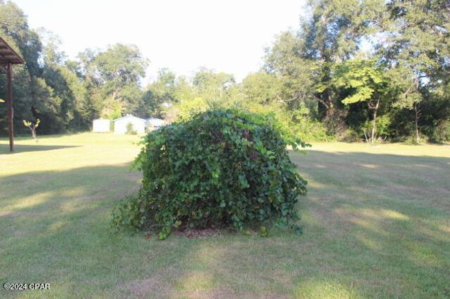 6562 Messer Rd, House other with 3 bedrooms, 2 bathrooms and null parking in Grand Ridge FL | Image 13