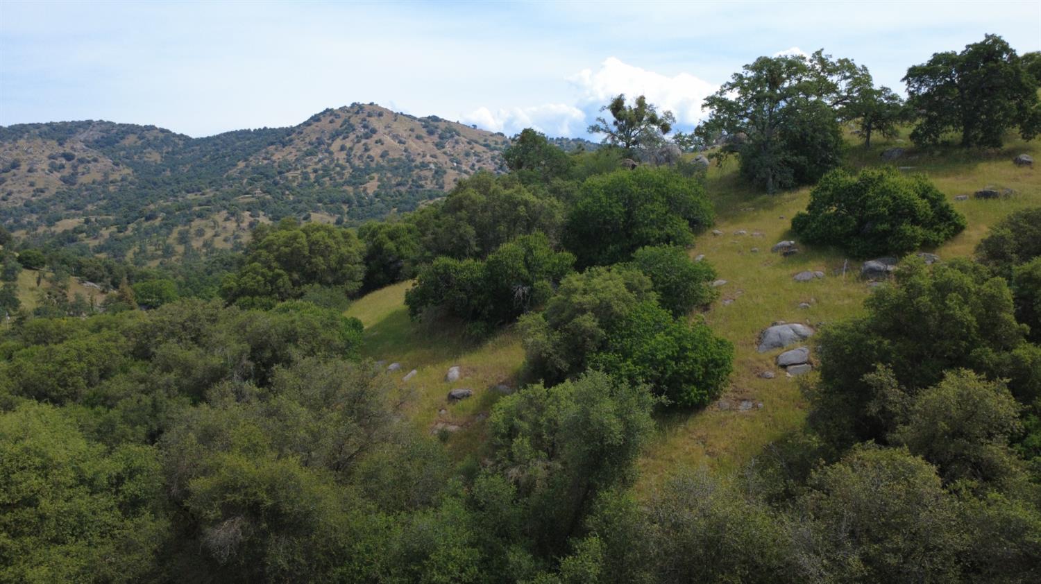 Land in Yokuts Valley 2