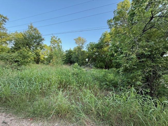 202 Elm St, Home with 0 bedrooms, 0 bathrooms and null parking in Roxton TX | Image 6