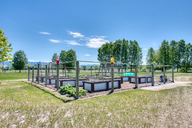 Community Garden | Image 56