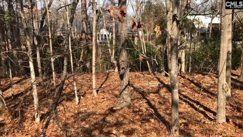 326 Carola Ln, Lexington, SC, 29072-3941 | Card Image