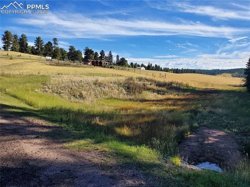 309 Pinaceae Hts, Divide, CO, 80814-9248 | Card Image