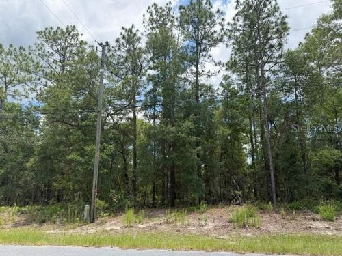 1982 W Roseboro Dr, DUNNELLON, FL, 34434-2830 | Card Image