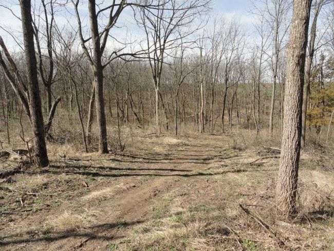 10.45 Acres Ringhand Rd, Home with 0 bedrooms, 0 bathrooms and null parking in SYLVESTER WI | Image 28