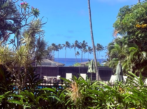 apt-112-1901 Poipu Rd, Koloa, HI, 96756-9757 | Card Image