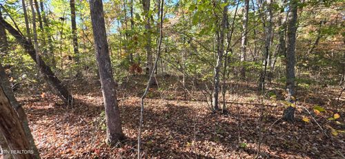 4 Austin Dr, Monterey, TN, 38574-5580 | Card Image