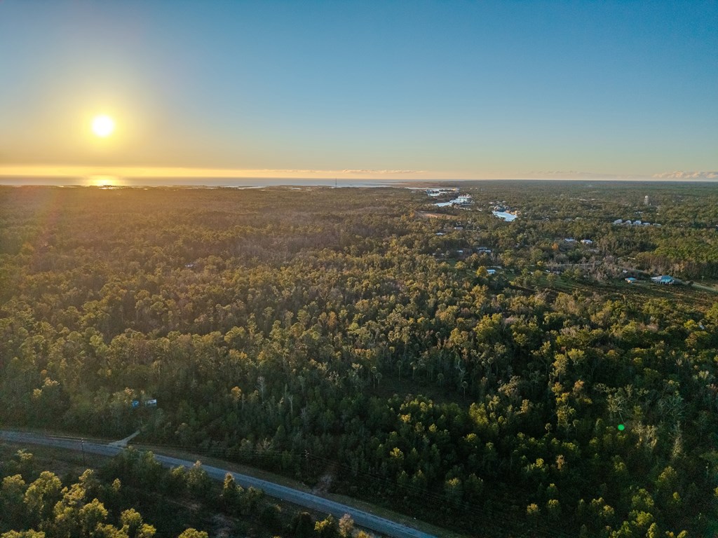Land in Steinhatchee 5