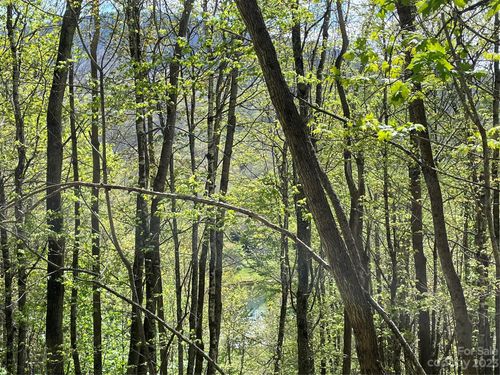 lot-c-000 Peregrine Ln, Bakersville, NC, 28705 | Card Image