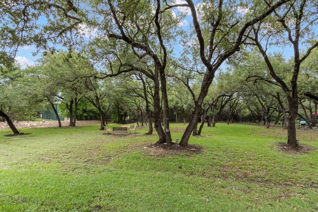 View of green lawn | Image 40