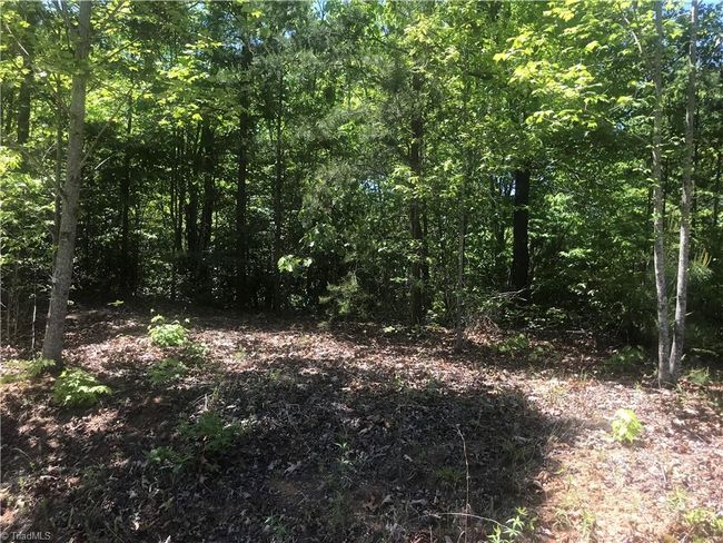 19 Rose Briar Rd, Home with 0 bedrooms, 0 bathrooms and null parking in Boomer NC | Image 27