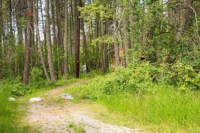 9234 MT Hwy 35 | Image 4