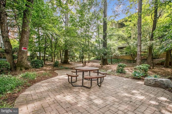 APT-36 - 12009 Taliesin Pl, Condo with 2 bedrooms, 1 bathrooms and null parking in Reston VA | Image 35