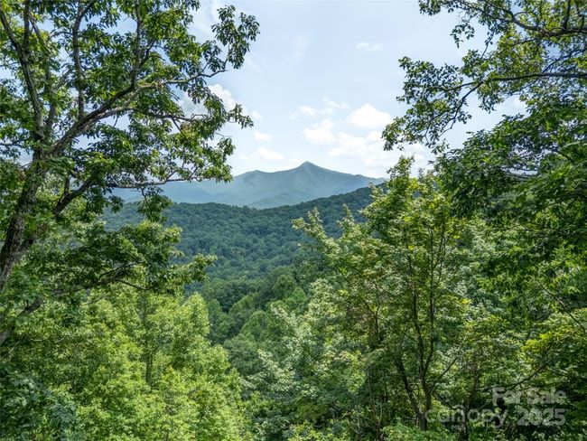 000 White Rock Branch Rd, Home with 0 bedrooms, 0 bathrooms and null parking in Candler NC | Image 11