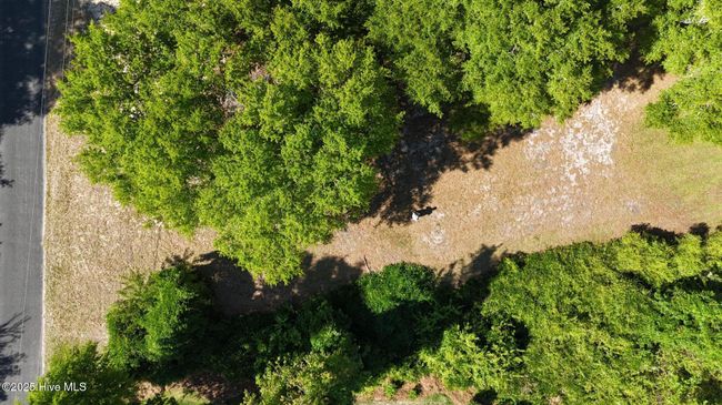 2B - 7631 Scout Camp Hatila Rd, Home with 0 bedrooms, 0 bathrooms and null parking in Wilmington NC | Image 8