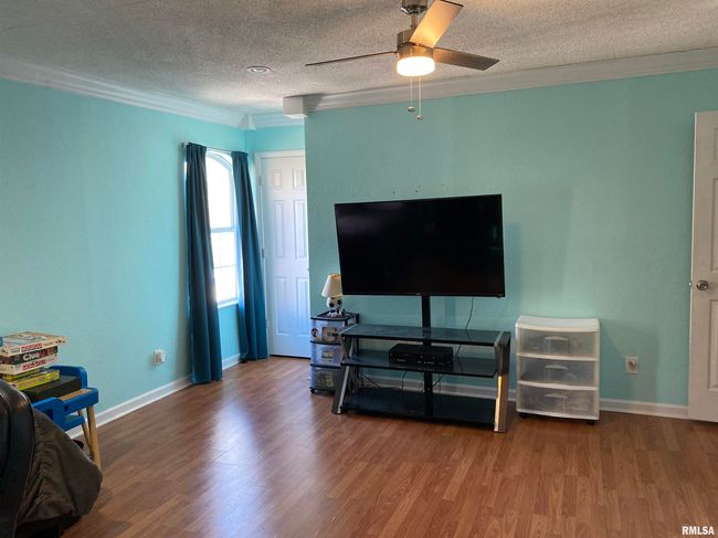 407 N Howard St, House other with 3 bedrooms, 3 bathrooms and null parking in Ava IL | Image 15