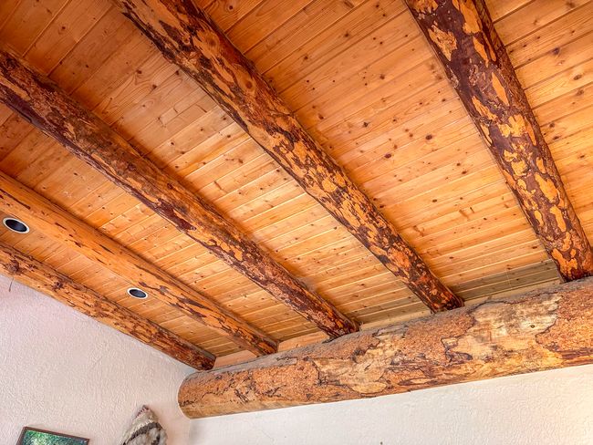 Log Ceiling | Image 16