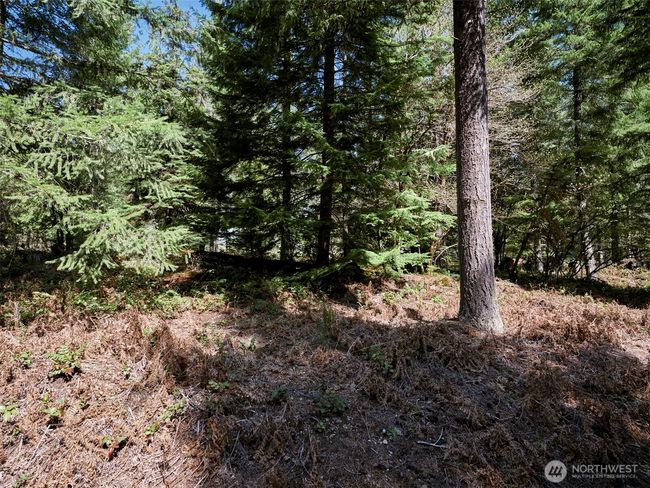 Acreage | Image 18